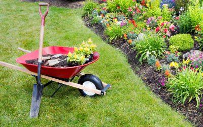 CABECERA_JARDINERIA